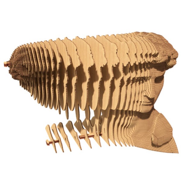 CARTONIC - DAVID 3D Puzzle (CARTDAV)