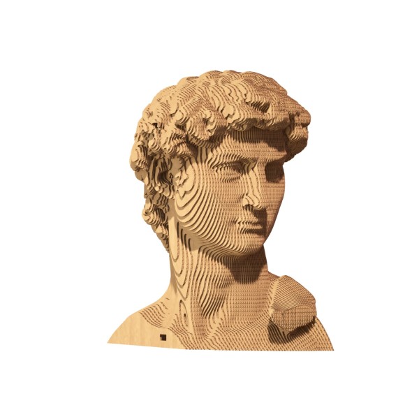 CARTONIC - DAVID 3D Puzzle (CARTDAV)