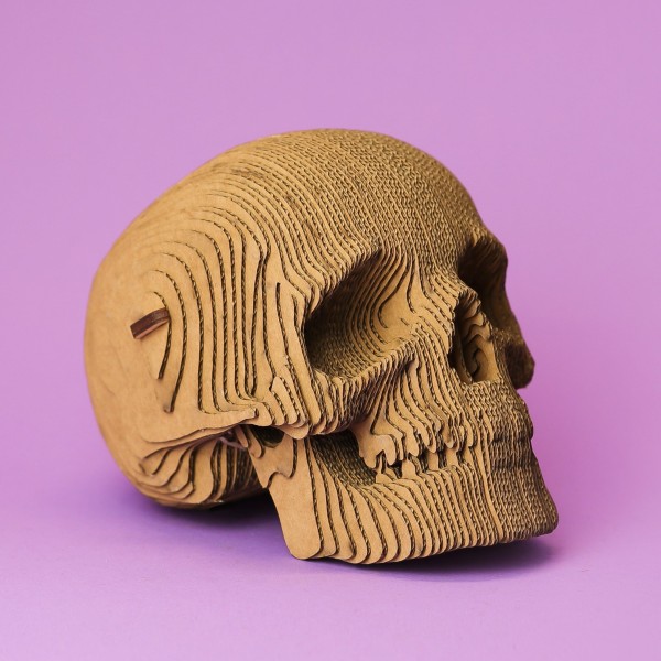 CARTONIC - SKULL 3D Puzzle (CARTSKUL)