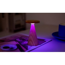 Gingko - Mini Sylva Table Lamp White Ash (G056M-AH)