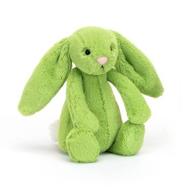 Jellycat - Bashful Apple Bunny 18cm (BASS6BAP)