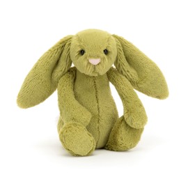 Jellycat - Bashful Moss Bunny 18cm (BASS6MOSS)