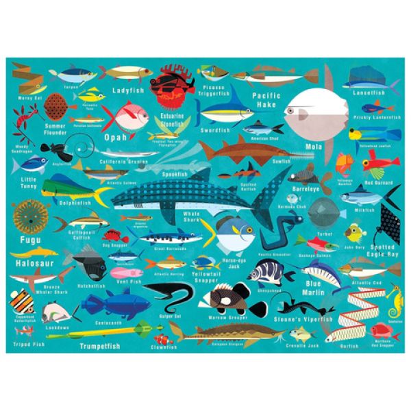 Mudpuppy - Παζλ 1000 κομματιών "Ζώα της Θάλασσας" (ΒΕR-354907)