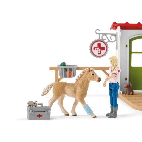 Schleich - Κτηνιατρική Πρακτική με Κατοικίδια Ζώα (42502)