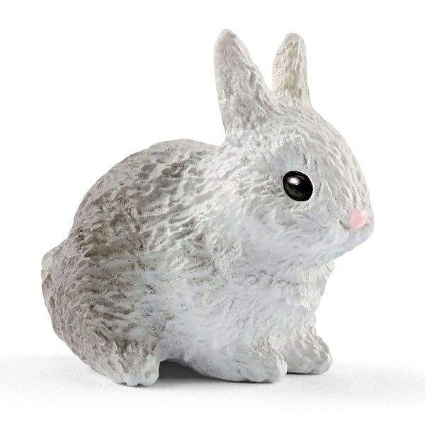 Schleich - Κτηνιατρική Πρακτική με Κατοικίδια Ζώα (42502)
