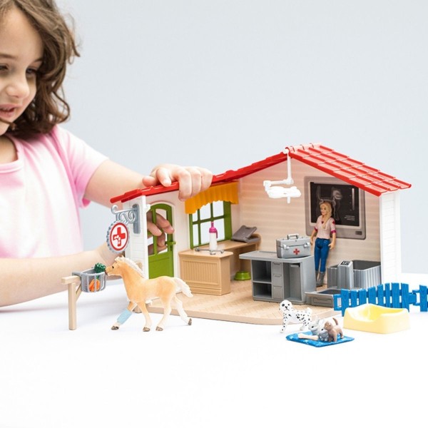 Schleich - Κτηνιατρική Πρακτική με Κατοικίδια Ζώα (42502)