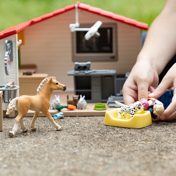 Schleich - Κτηνιατρική Πρακτική με Κατοικίδια Ζώα (42502)