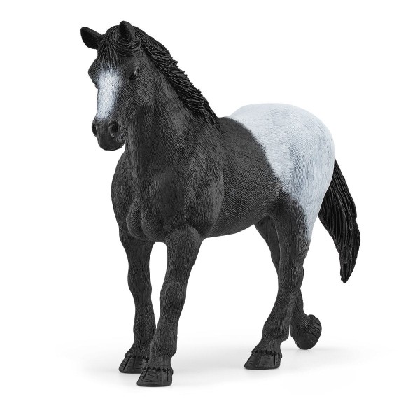 Schleich - Σετ Παιχνιδιού με Φοράδα και Πουλάρι (42611)