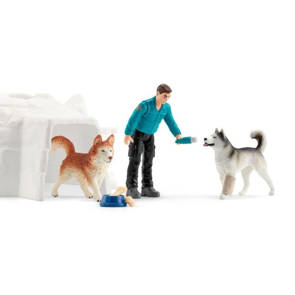 Schleich - Σετ Ζωάκια με Φιγούρα Ανταρκτική (42624)