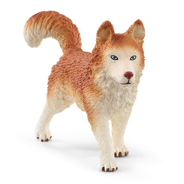 Schleich - Σετ Ζωάκια με Φιγούρα Ανταρκτική (42624)