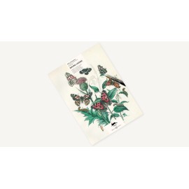 The Pepin Press - Natural History (9789460098345)