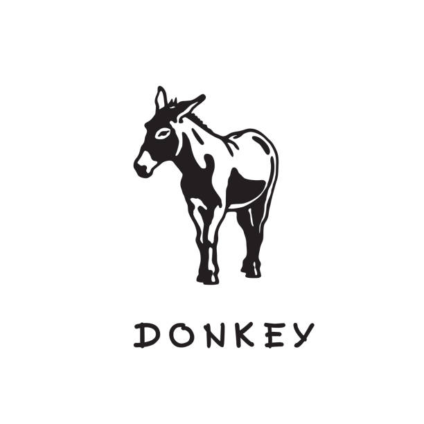 Donkey